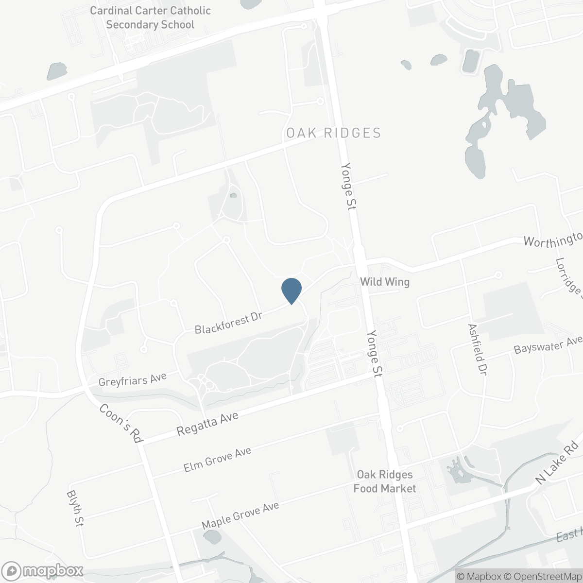 20 BLACKFOREST DRIVE, Richmond Hill, Ontario L4E 2P5